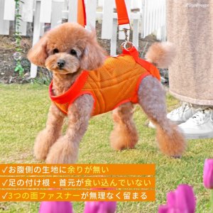 画像2: 中大型犬用 メッシュ3WAYケアハーネスプレミアム　5号