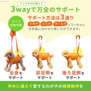 画像5: 中大型犬用 メッシュ3WAYケアハーネスプレミアム　5号