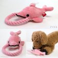 画像8: デンタルロープTOY イルカショー【リニューアル】