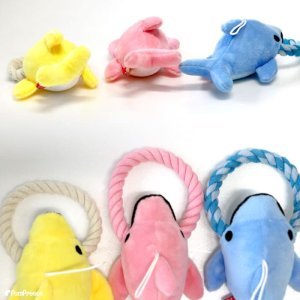 画像6: デンタルロープTOY イルカショー【リニューアル】