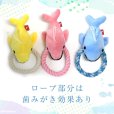 画像5: デンタルロープTOY イルカショー【リニューアル】