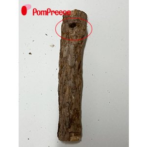 画像1: 【お買い得】【訳有り　穴あき・削り跡有り】[ネコpom]国産　ニャンともBIG　またたびの木（2本入）