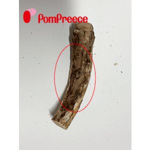 画像4: 【お買い得】【訳有り　穴あき・削り跡有り】[ネコpom]国産　ニャンともBIG　またたびの木（2本入）