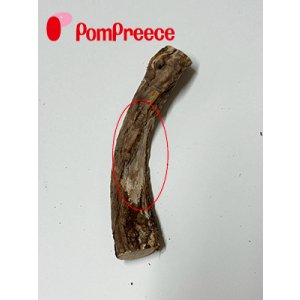 画像3: 【お買い得】【訳有り　穴あき・削り跡有り】[ネコpom]国産　ニャンともBIG　またたびの木（2本入）