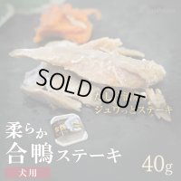 やわらかお肉の合鴨ステーキ