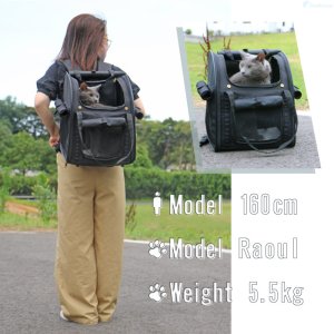画像17: 【犬・猫兼用】3WAYタッチインリュック パノラマビューランドキャリー　