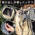 画像10: 【犬・猫兼用】3WAYタッチインリュック パノラマビューランドキャリー　【６月以降入荷予定】