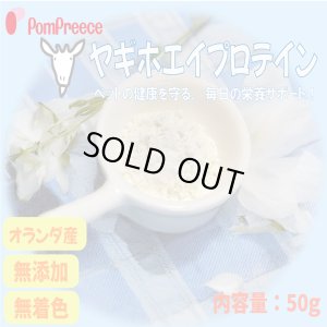 画像1: 【犬・猫用】ヤギホエイプロテイン【無添加・無着色】