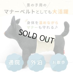 画像9: マナー兼用ラジウム健康ベルト　2号