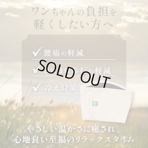 画像11: マナー兼用ラジウム健康ベルト　2号