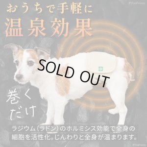 画像3: マナー兼用ラジウム健康ベルト　2号