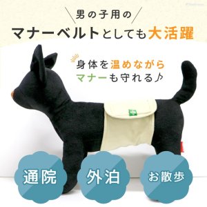 画像9: マナー兼用ラジウム健康ベルト　5号