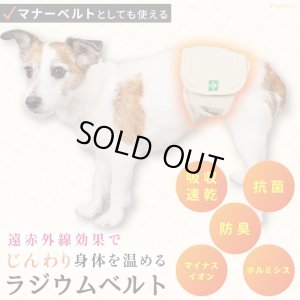 画像2: マナー兼用ラジウム健康ベルト　2号