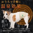 画像3: マナー兼用ラジウム健康ベルト　1号