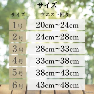 画像16: マナー兼用ラジウム健康ベルト　5号