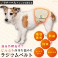 画像2: マナー兼用ラジウム健康ベルト　3号