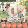 画像1: マナー兼用ラジウム健康ベルト　4号 (1)