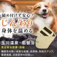 画像4: 中・大型犬用マナー兼用ラジウム健康ベルト　10号