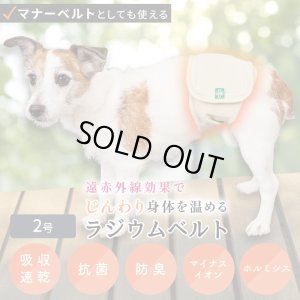 画像1: マナー兼用ラジウム健康ベルト　2号