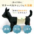 画像9: 中・大型犬用マナー兼用ラジウム健康ベルト　10号