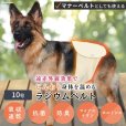 画像1: 中・大型犬用マナー兼用ラジウム健康ベルト　10号 (1)