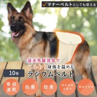 中・大型犬用マナー兼用ラジウム健康ベルト　10号