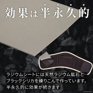 画像6: 中・大型犬用マナー兼用ラジウム健康ベルト　10号