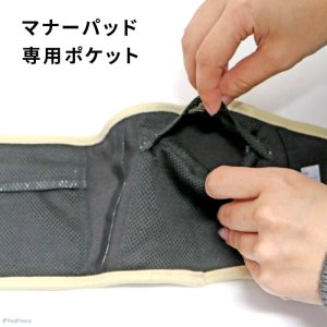 画像13: 中・大型犬用マナー兼用ラジウム健康ベルト　10号