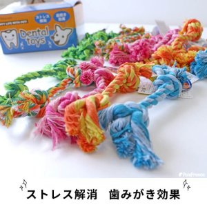 画像2: 小型犬用　デンタルロープ　単品