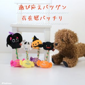 画像5: デンタルロープTOY ハロウィンフレンズ