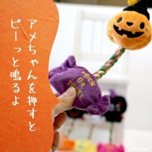 画像2: デンタルロープTOY ハロウィンフレンズ