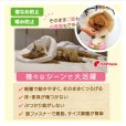 画像2: ロングブリリアントエリザベスカラー フェアオーガニック【5号】【９月初旬発売予定】