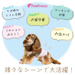 画像3: マナーパット不要！高吸収マナーベルト ［4号］