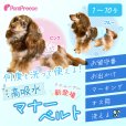 画像1: マナーパット不要！高吸収マナーベルト ［4号］ (1)