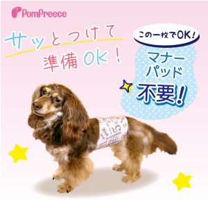 画像2: マナーパット不要！高吸収マナーベルト［10号］