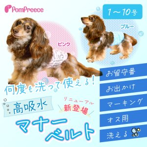 画像1: マナーパット不要！高吸収マナーベルト 【1〜3号】