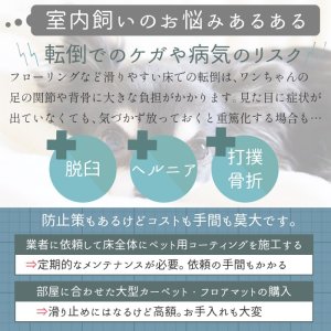 画像5: ソックス アーガイル 3L