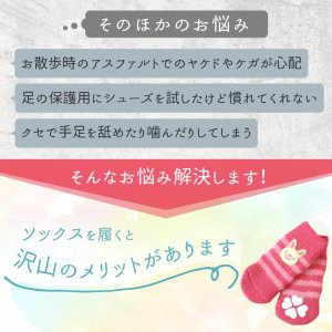 画像7: ソックス アーガイル SS・S・M