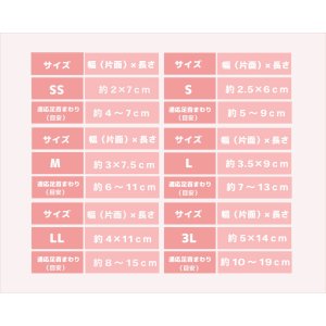 画像12: ソックス アーガイル LL