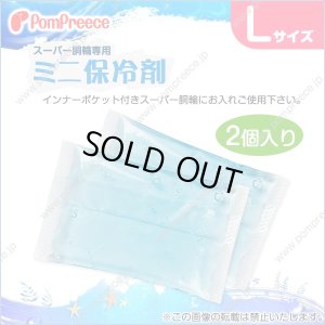画像1: スーパー胴輪用 ミニ保冷剤 Ｌ(2個入）