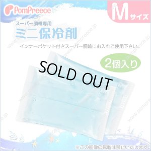 画像1: スーパー胴輪用 ミニ保冷剤 Ｍ(2個入）