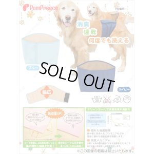 画像2: 【記念価格】 Sマナーベルト&洗えるオムツ プレミアム ［9号］