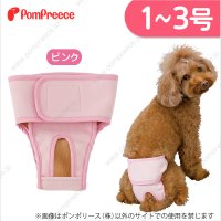 【記念価格】 ベルト型サニタリーパンツ&洗えるオムツ 1〜3号