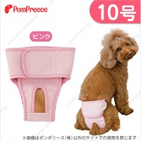 【記念価格】 ベルト型サニタリーパンツ&洗えるオムツ ［10号］