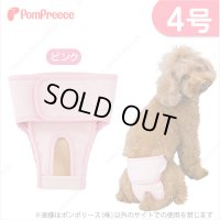 【記念価格】 ベルト型サニタリーパンツ&洗えるオムツ ［4号］