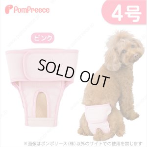 画像1: 【記念価格】 ベルト型サニタリーパンツ&洗えるオムツ ［4号］