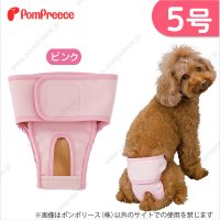 【記念価格】 ベルト型サニタリーパンツ&洗えるオムツ ［5号］