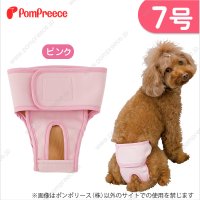 【記念価格】 ベルト型サニタリーパンツ&洗えるオムツ ［7号］