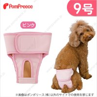 【記念価格】 ベルト型サニタリーパンツ&洗えるオムツ ［9号］