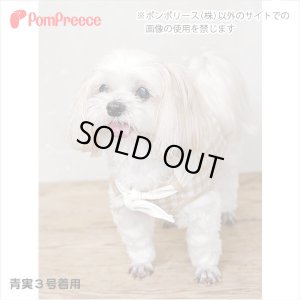 画像5: フェアオーガニック スカーフ付きＴシャツ 2・3号